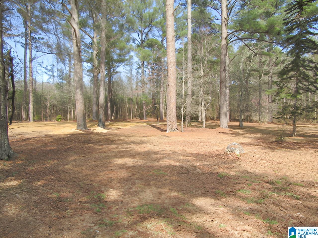 4429 Roy Webb Road Jacksonville, AL 36265 - Photo 1 of 26