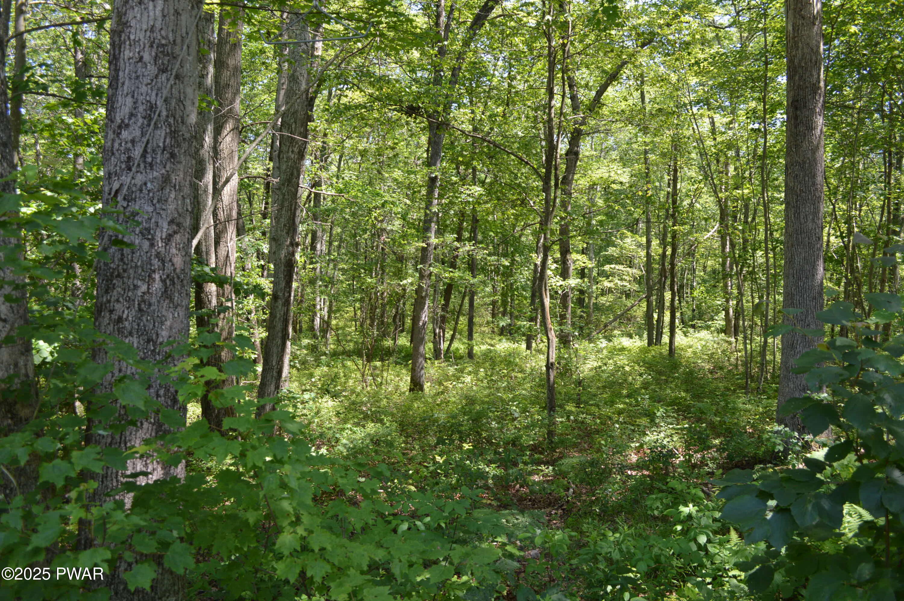 292 Well Road Greeley, PA 18425 - Photo 22 of 24 DSC_0466
