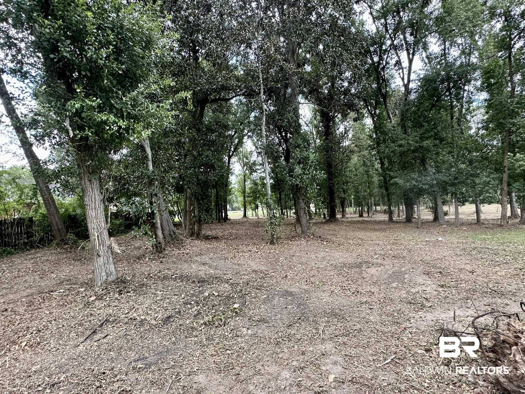 412 West Persimmon Avenue Foley, AL 36535 - Photo 4 of 9