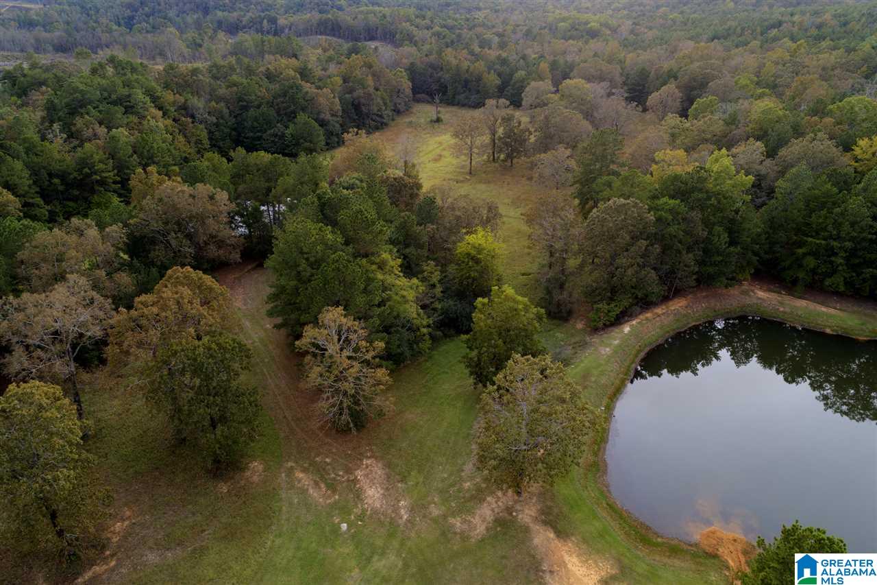Serene Lake Road, Unit 8471 McCalla, AL 35111 - Photo 18 of 30