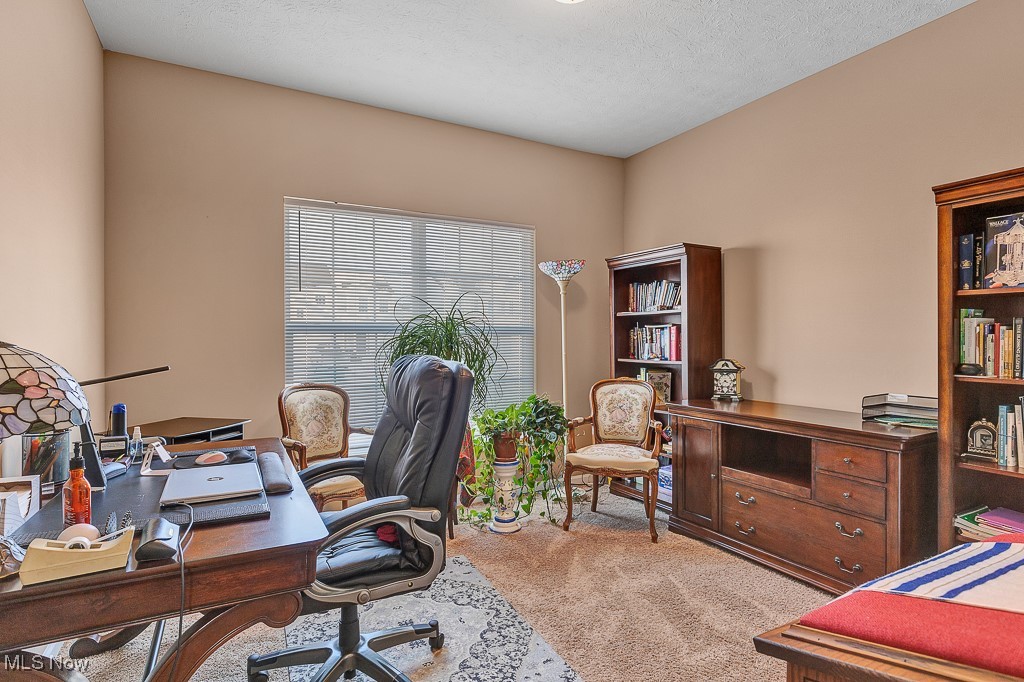37289 Sandy Ridge Drive North Ridgeville, OH 44039 - Photo 17 of 21 Carpeted office space with a textured ceiling