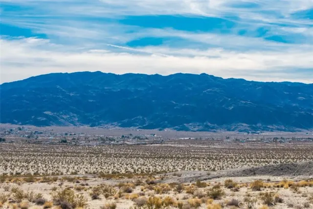 a view of a yard with wooden fence