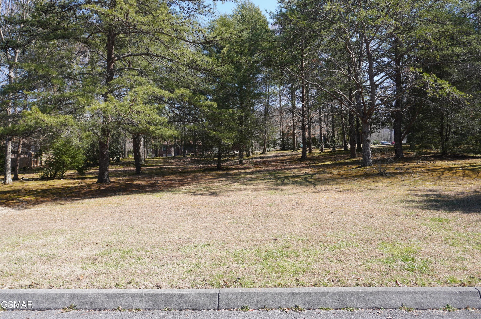 19 Rhododendron Trail Cosby, TN 37722 - Photo 11 of 18 Gallery Image 11