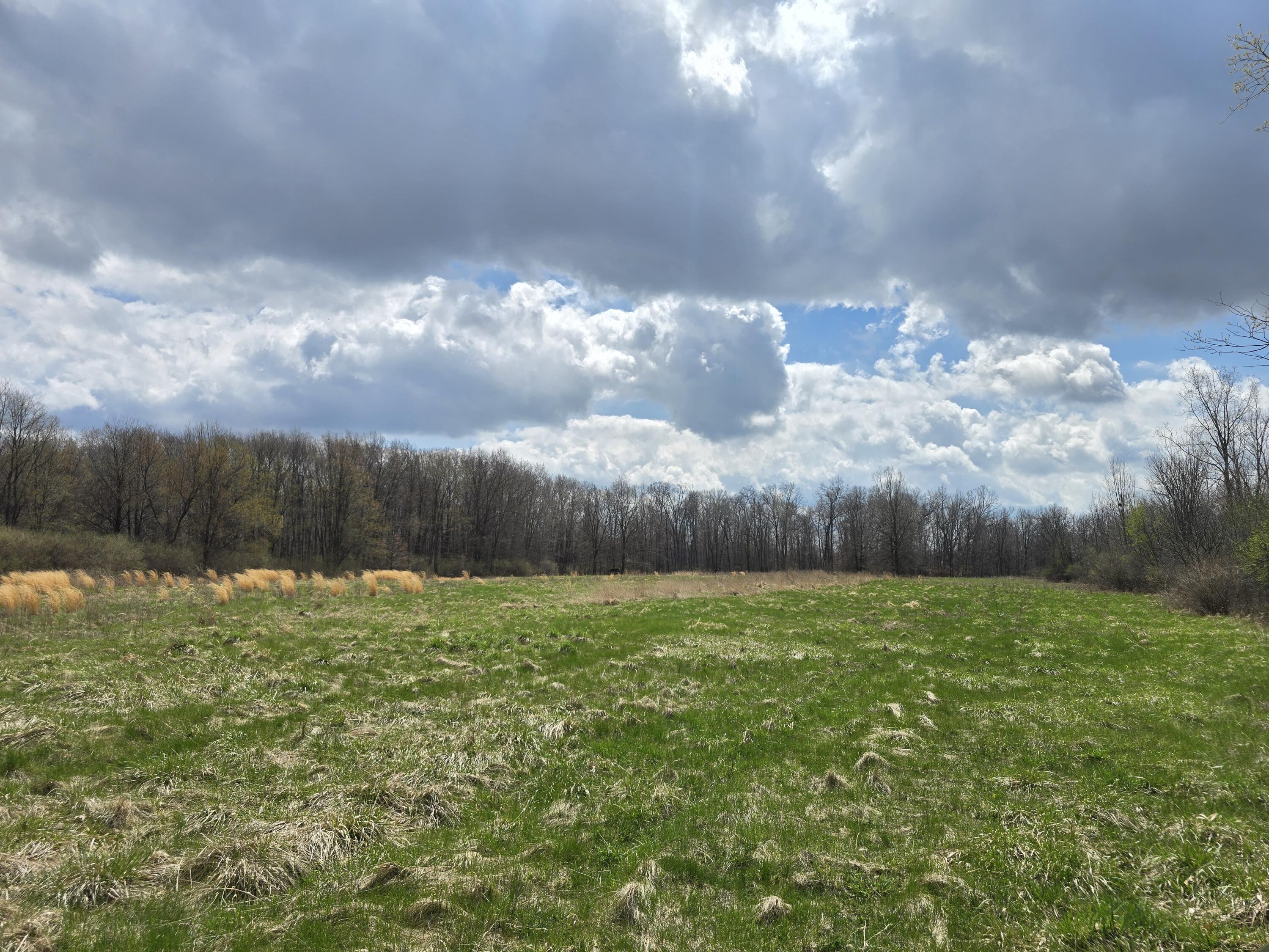 1284 Maplegrove Road Jackson, MI 49201 - Photo 35 of 45 20260413_132554