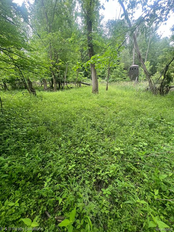 0 Ducker Road Marlette, MI 48453 - Photo 13 of 44