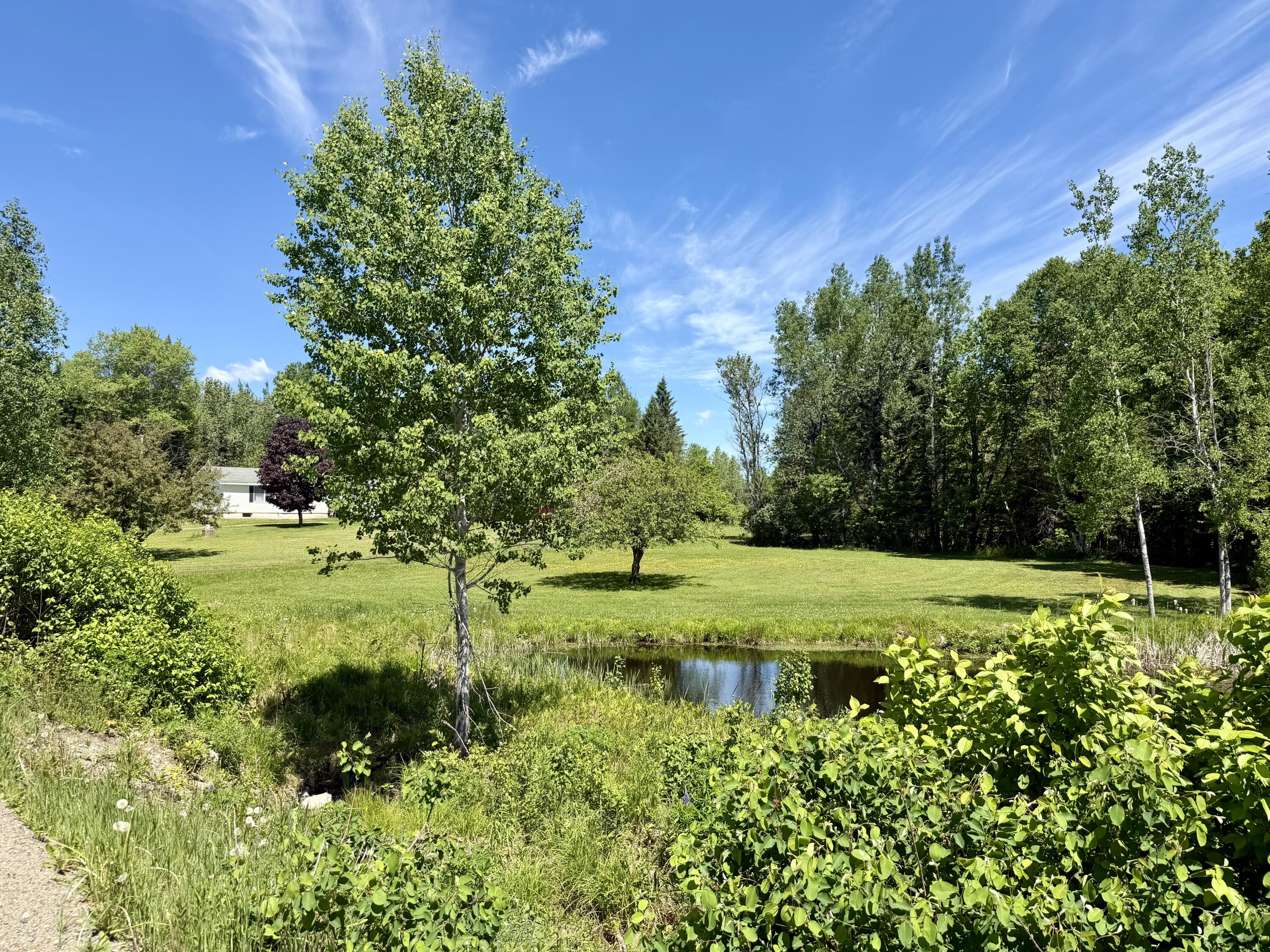 207 Bog Brook Road Crystal, ME 04747 - Photo 14 of 16 IMG_7465