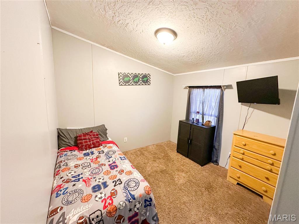 405 County Road 5015 Salem, MO 65560 - Photo 23 of 51