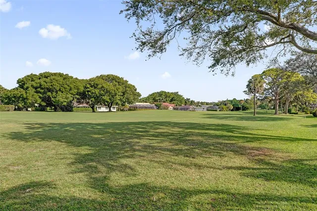 a view of a grassy field with an trees