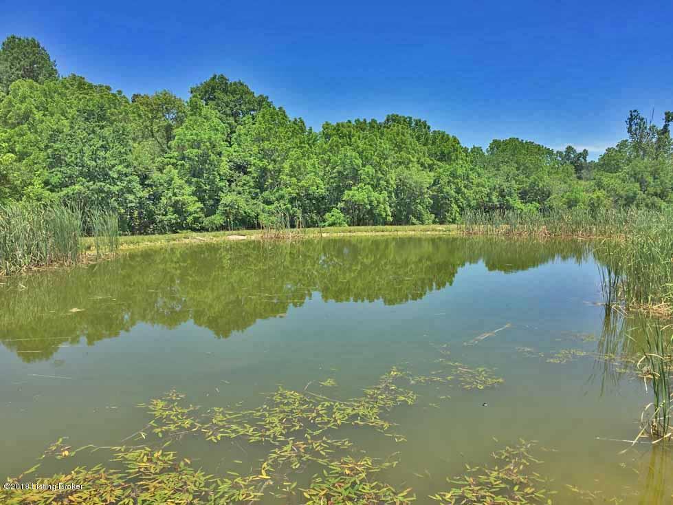 Pond on Property