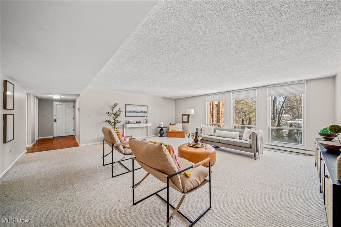 2365 Covington Road, Unit 225 Akron, OH 44313 - Photo 3 of 36 Living area featuring baseboards, a textured ceiling, and light colored carpet