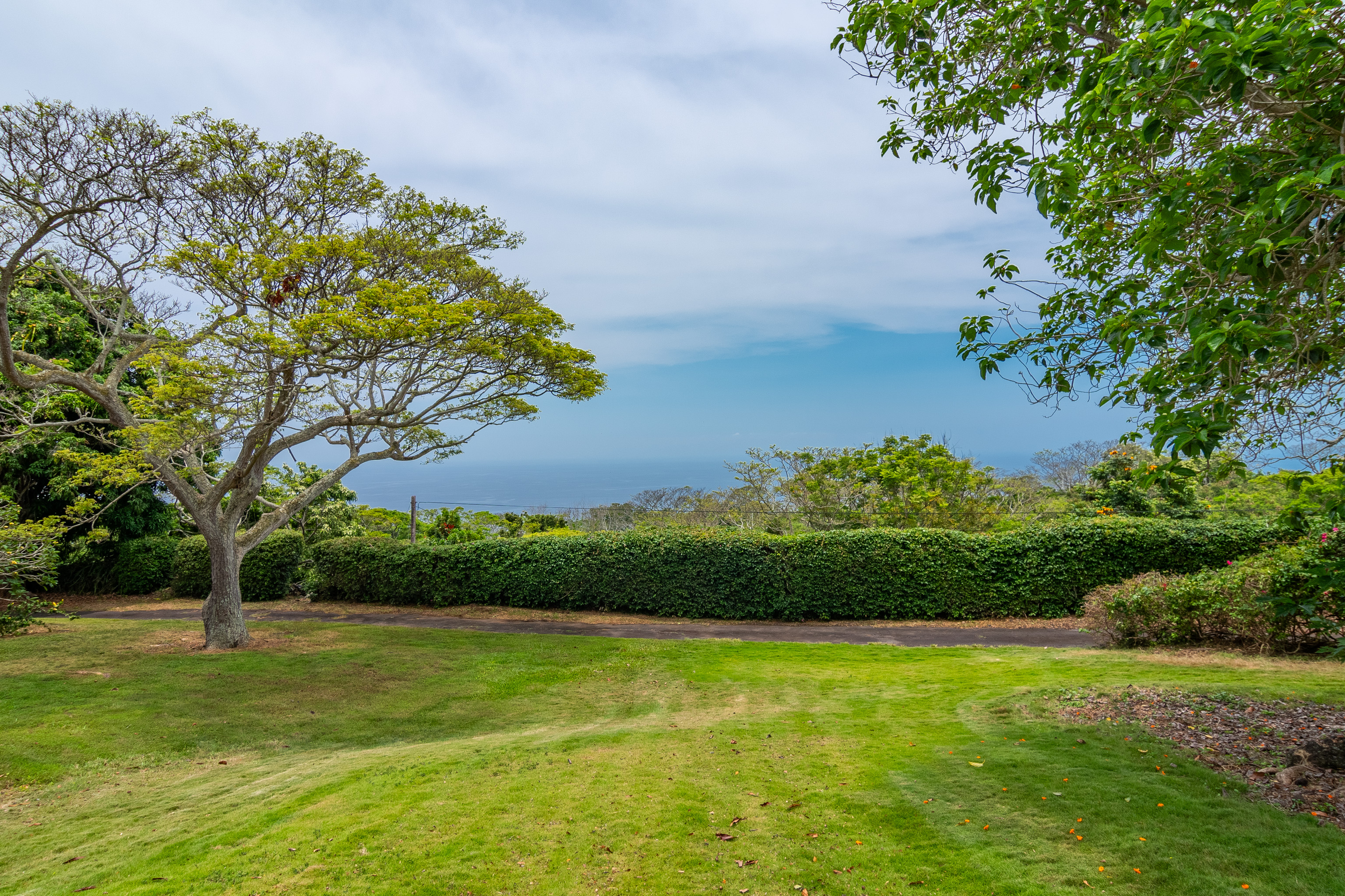 86-4190 Hookena Beach Road Captain Cook, HI 96704 - Photo 3 of 30 a view of a field with a tree