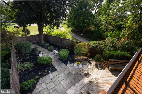 a view of a yard with plants