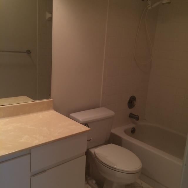8607 Jared Way Boca Raton, FL 33433 - Photo 11 of 14 Common bath