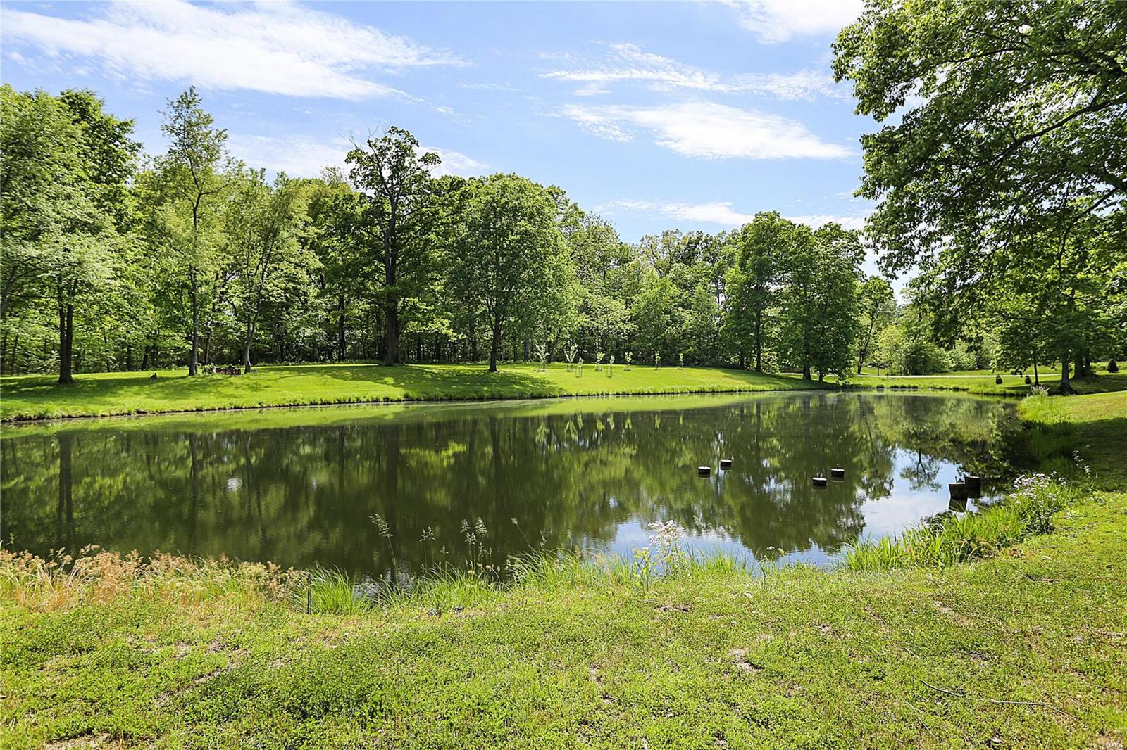 8436 Heinz Road New Douglas, IL 62074 - Photo 42 of 49
