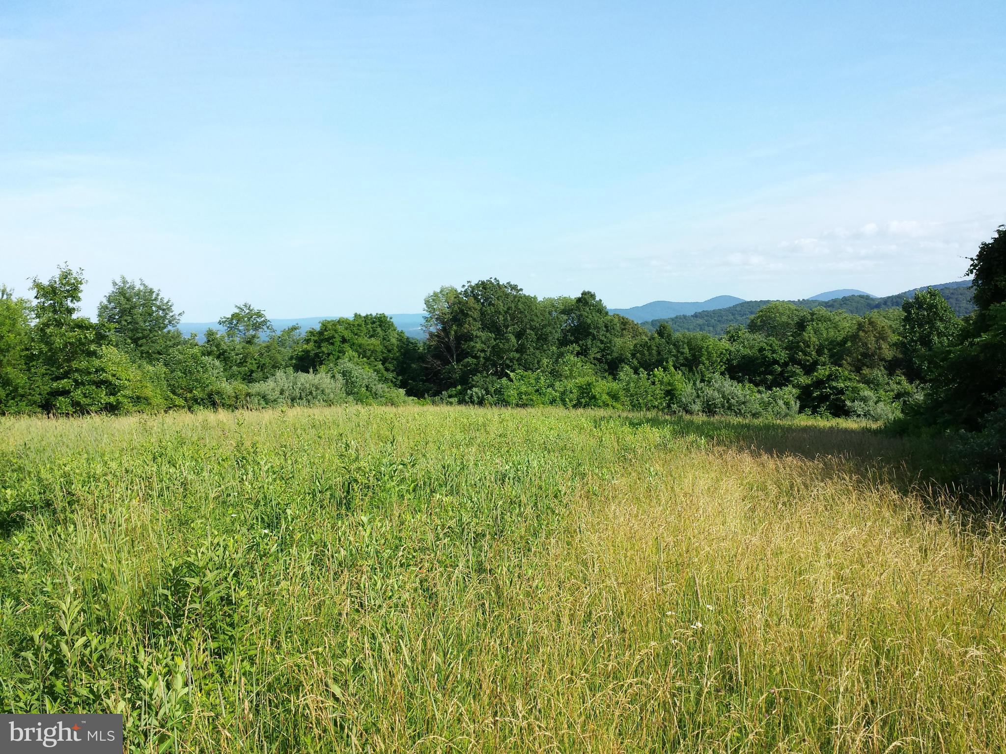 0 Leeds Manor Road Linden, VA 22642 - Photo 12 of 15 View