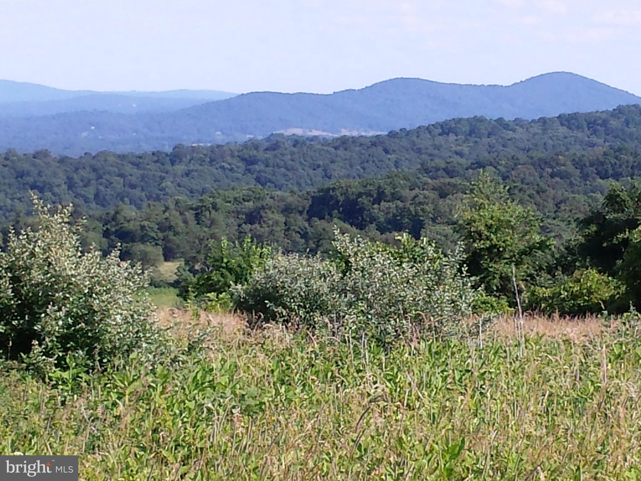 0 Leeds Manor Road Linden, VA 22642 - Photo 4 of 15 View