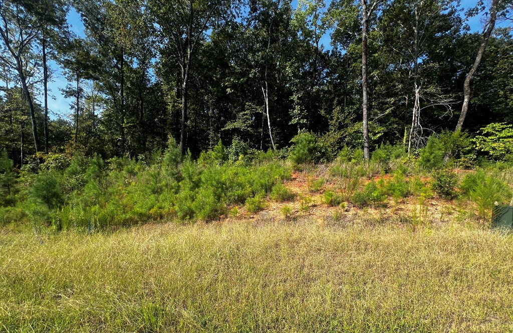 511 Sweetwater Drive Cataula, GA 31804 - Photo 3 of 6 a view of outdoor space and yard