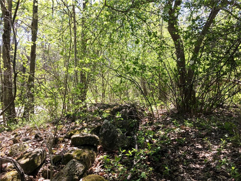 Lot 13 Richardson Road Orrington, ME 04474 - Photo 6 of 33 There are some historic rock walls...