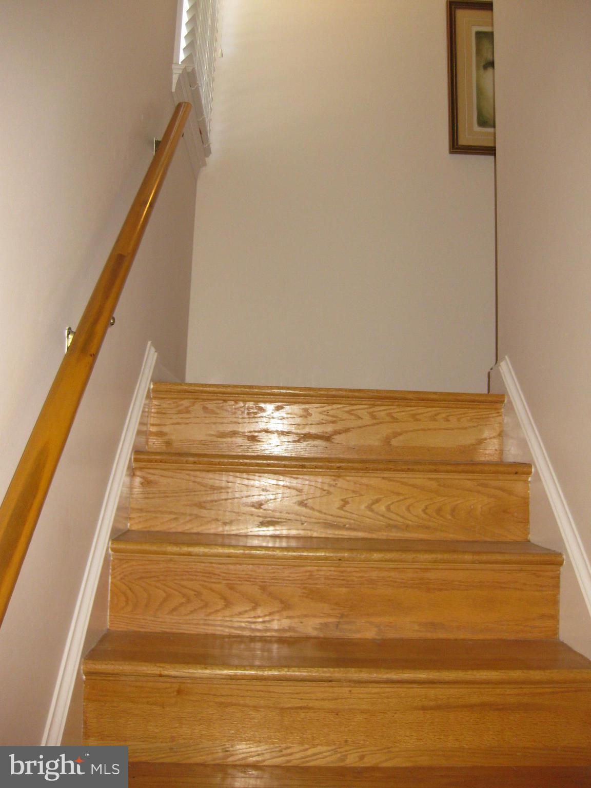 13113 Buccaneer Road Silver Spring, MD 20904 - Photo 18 of 37