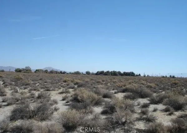 a view of a dry space with mountains in the background
