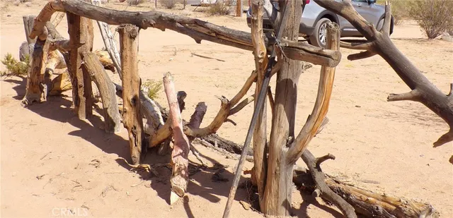 a view of a yard with street