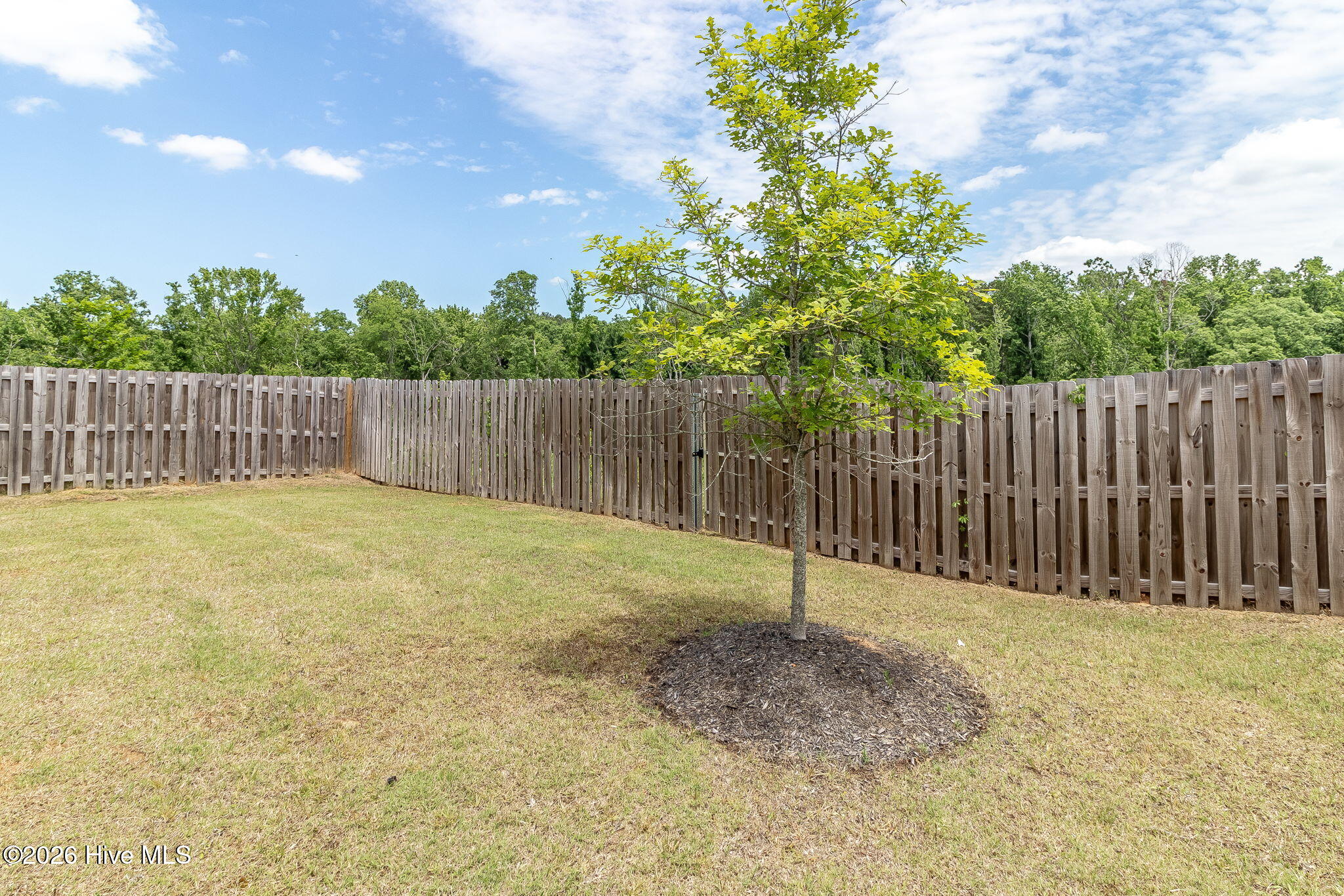 139 Dublin Loop Grovetown, GA 30813 - Photo 50 of 56 Back yard