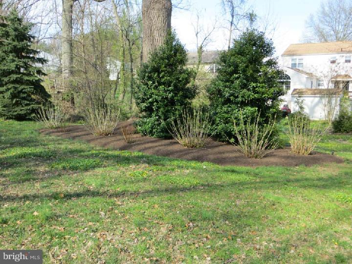315 Riverview Road Swarthmore, PA 19081 - Photo 24 of 25 Back Yard