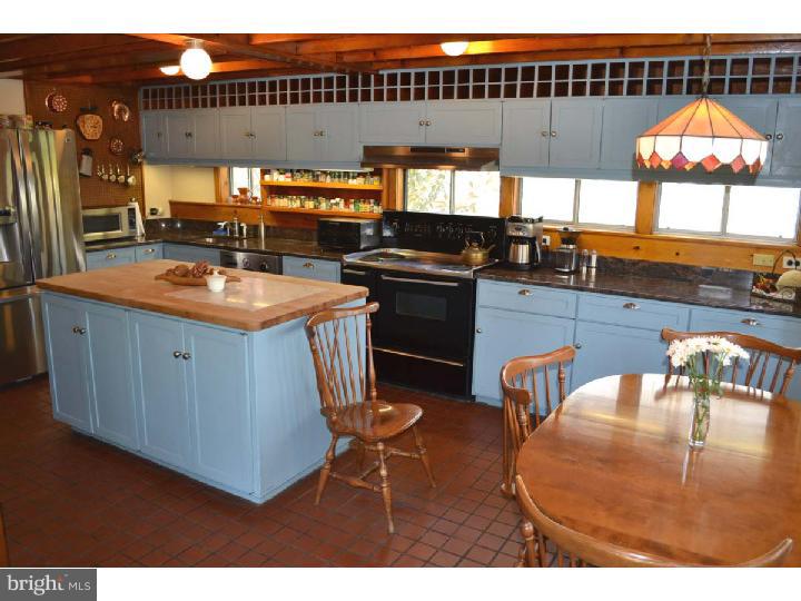 315 Riverview Road Swarthmore, PA 19081 - Photo 8 of 25 Kitchen