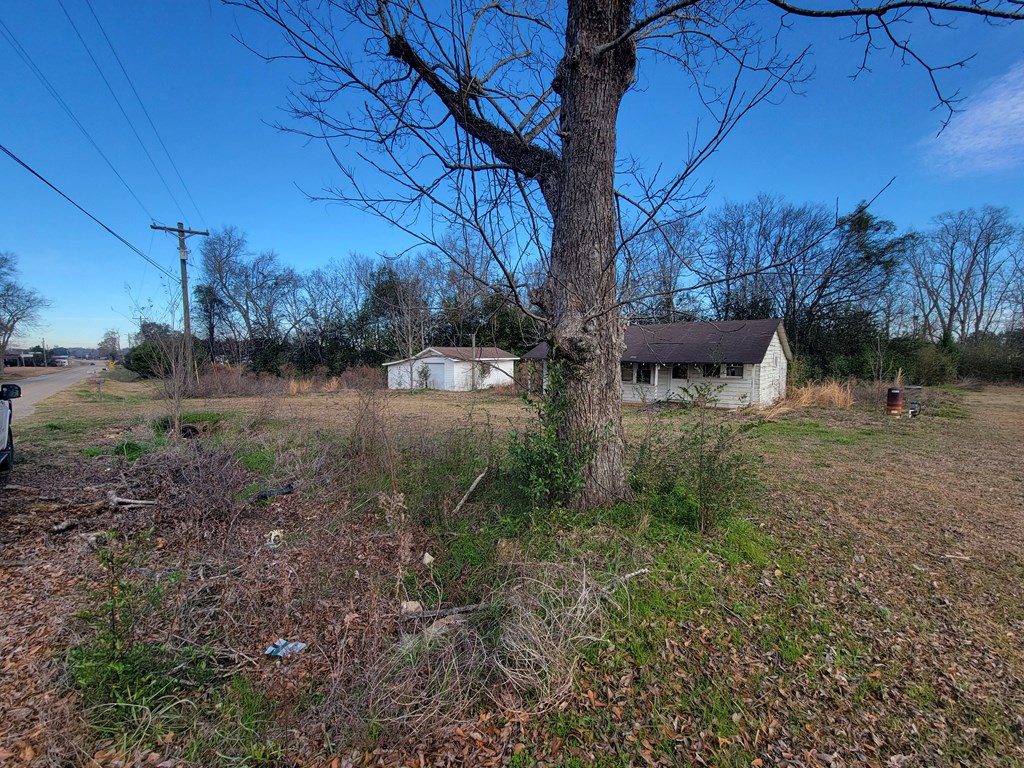 49-acres Pansey Road Ashford, AL 36312 - Photo 10 of 16