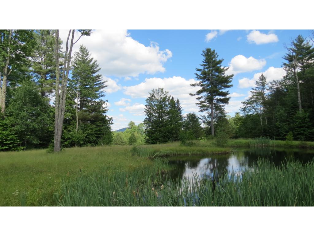 928 Landgrove Road Londonderry, VT 05148 - Photo 2 of 20