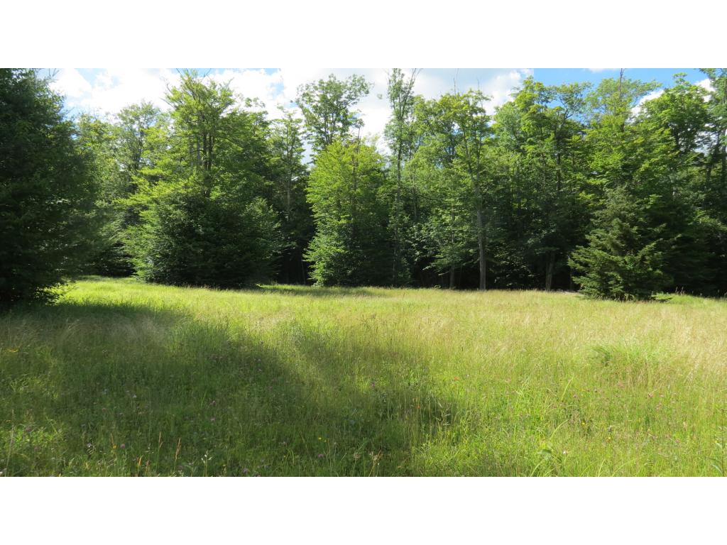 928 Landgrove Road Londonderry, VT 05148 - Photo 13 of 20