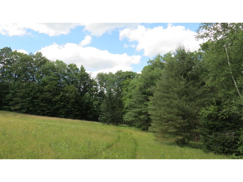928 Landgrove Road Londonderry, VT 05148 - Photo 17 of 20