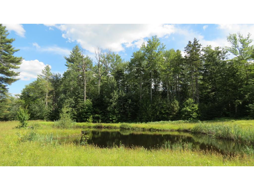 928 Landgrove Road Londonderry, VT 05148 - Photo 18 of 20