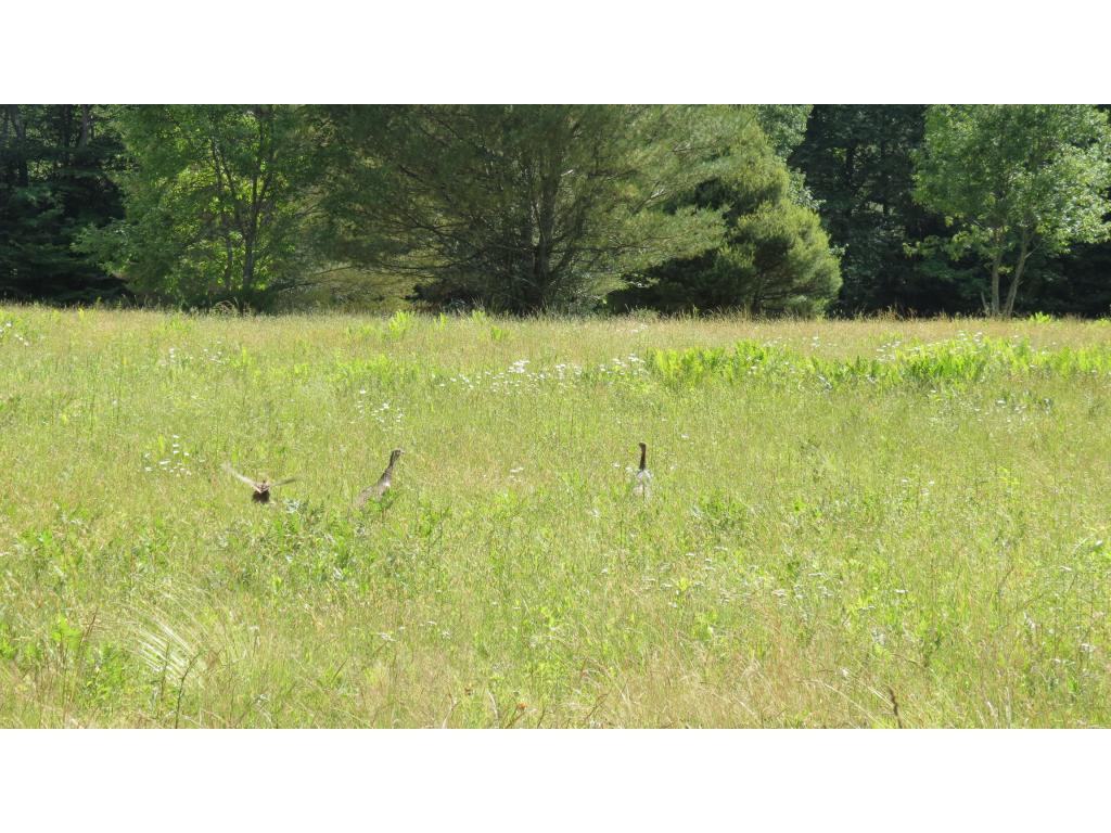 928 Landgrove Road Londonderry, VT 05148 - Photo 3 of 20