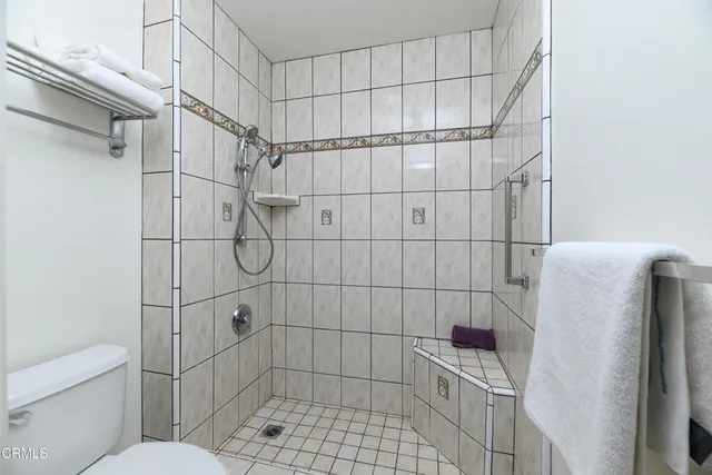 a bathroom with a shower and toilet