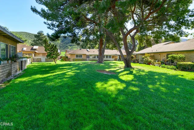 a view of a garden with a tree
