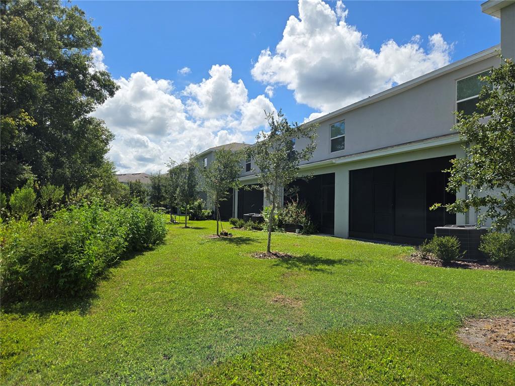 32803 Pez Landing Lane Wesley Chapel, FL 33543 - Photo 21 of 23 a view of a house with backyard