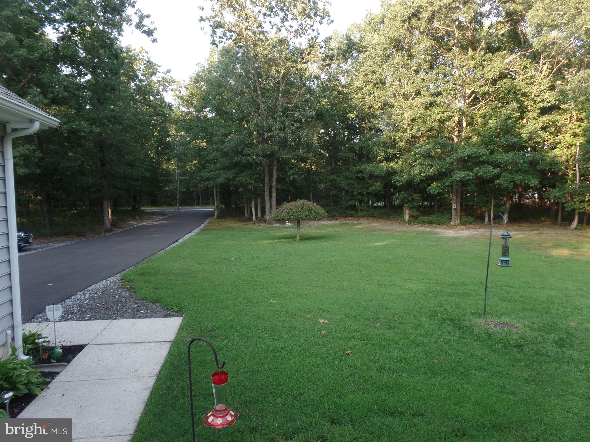 650 Jackson Road Williamstown, NJ 08094 - Photo 6 of 40 Gallery Image 6
