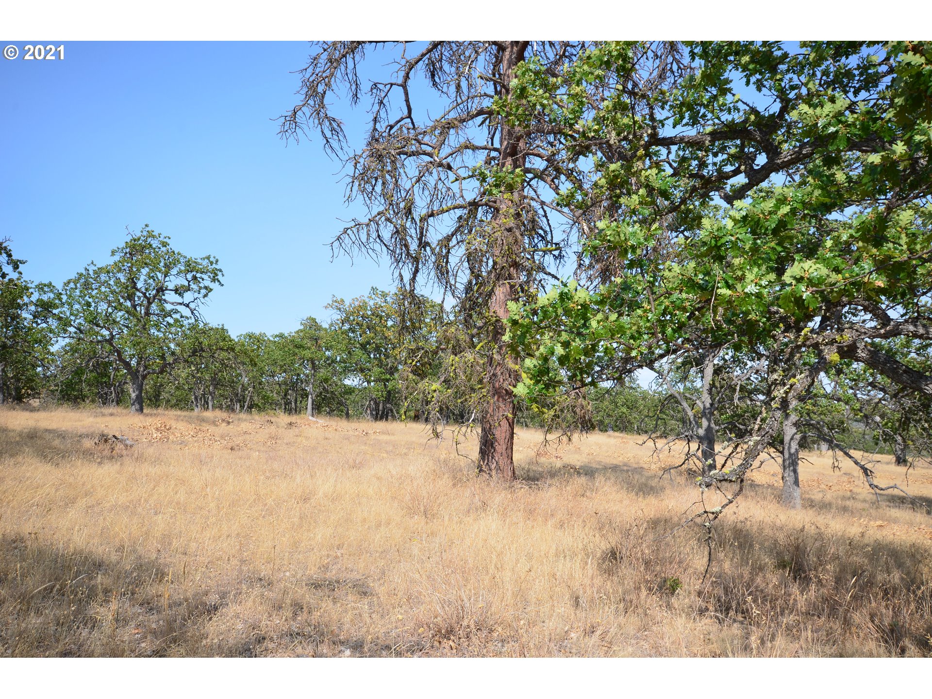 Upper Fivemile Road The Dalles, OR 97058 - Photo 11 of 21 Gallery Image 11