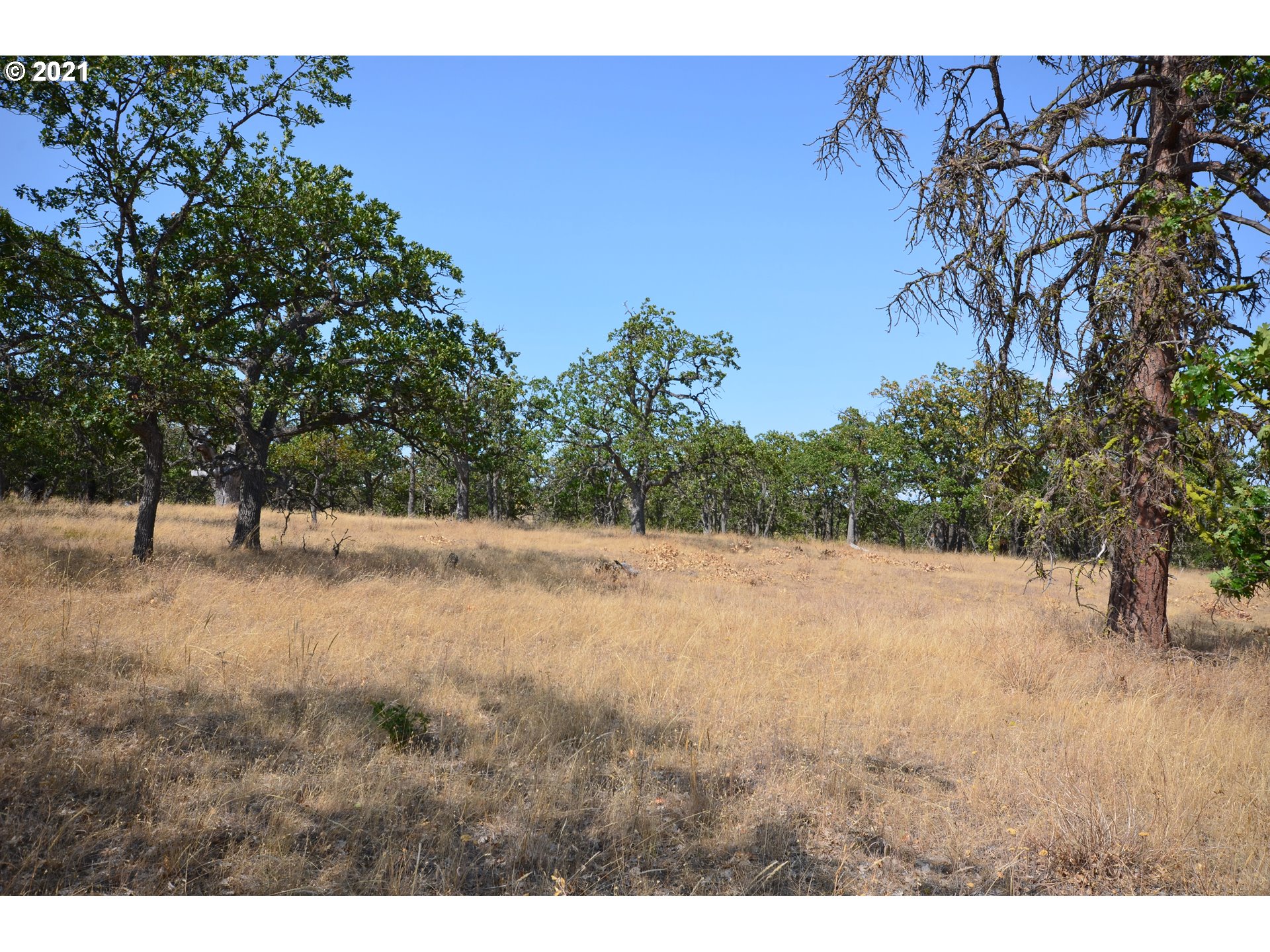 Upper Fivemile Road The Dalles, OR 97058 - Photo 12 of 21 Gallery Image 12