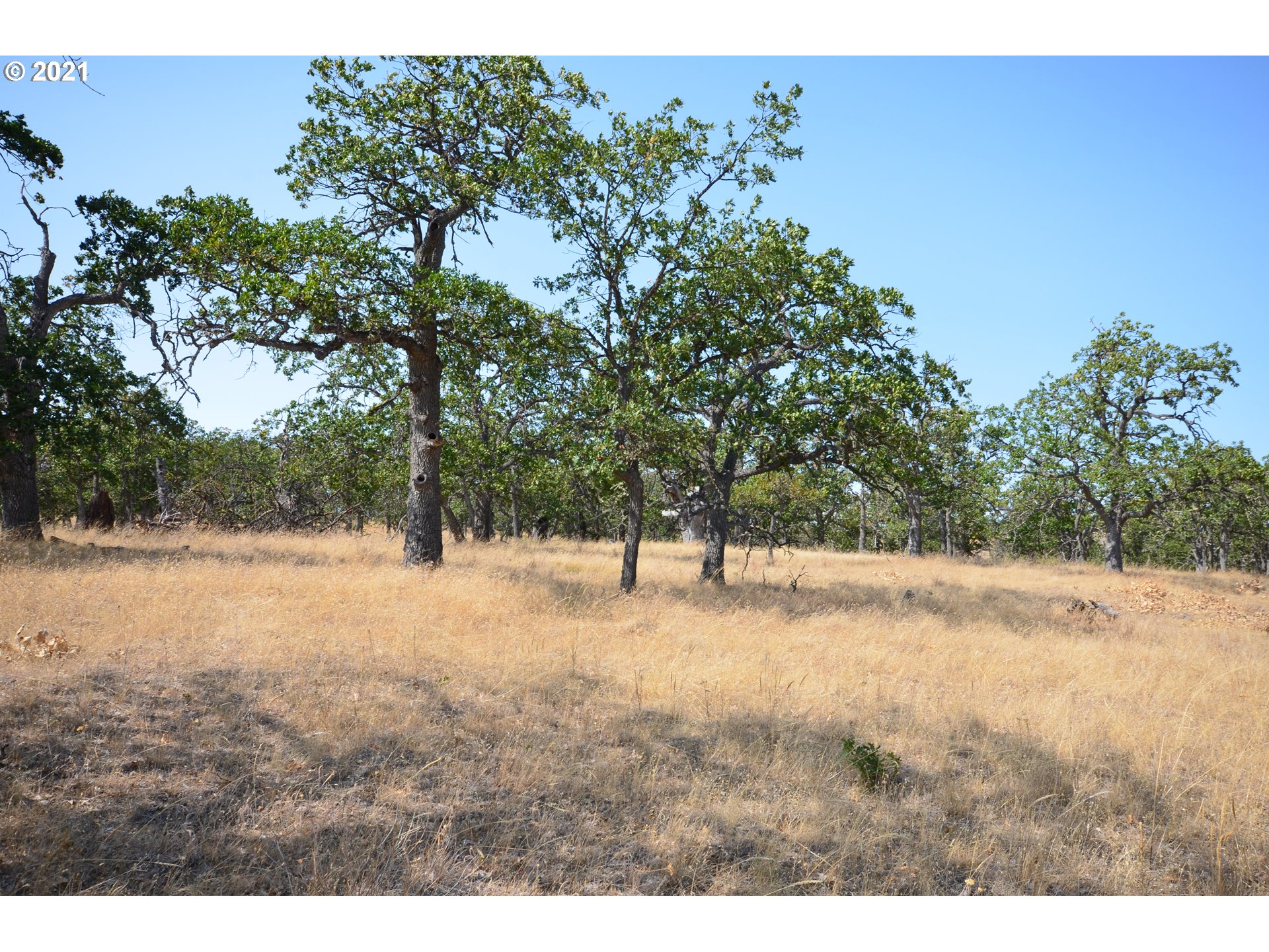 Upper Fivemile Road The Dalles, OR 97058 - Photo 13 of 21 Gallery Image 13