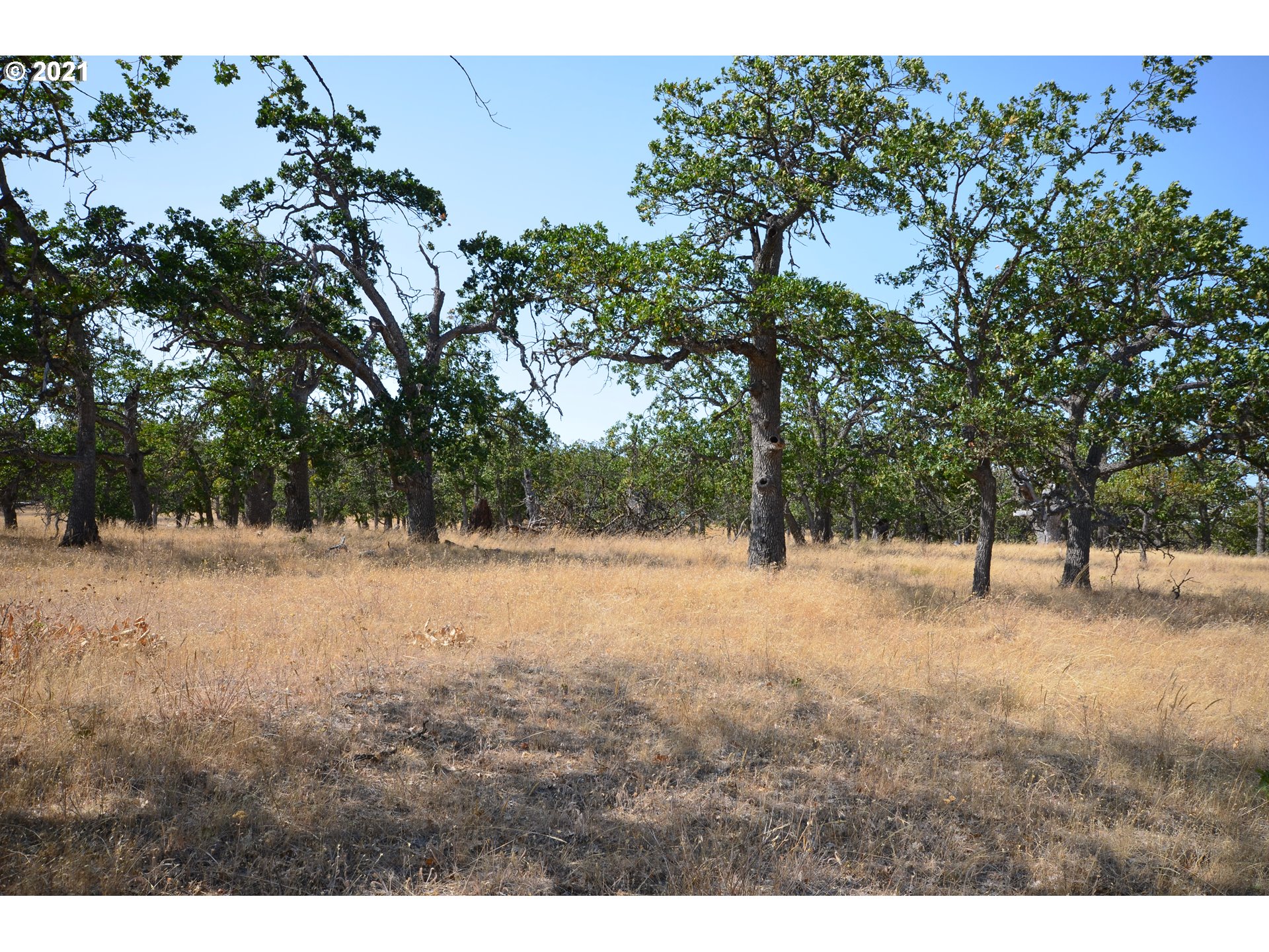 Upper Fivemile Road The Dalles, OR 97058 - Photo 14 of 21 Gallery Image 14