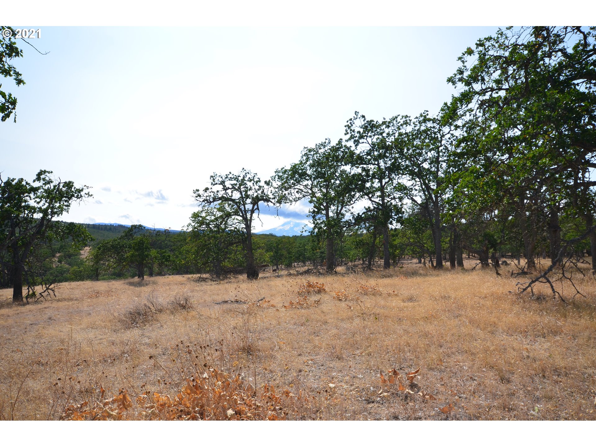 Upper Fivemile Road The Dalles, OR 97058 - Photo 15 of 21 Gallery Image 15