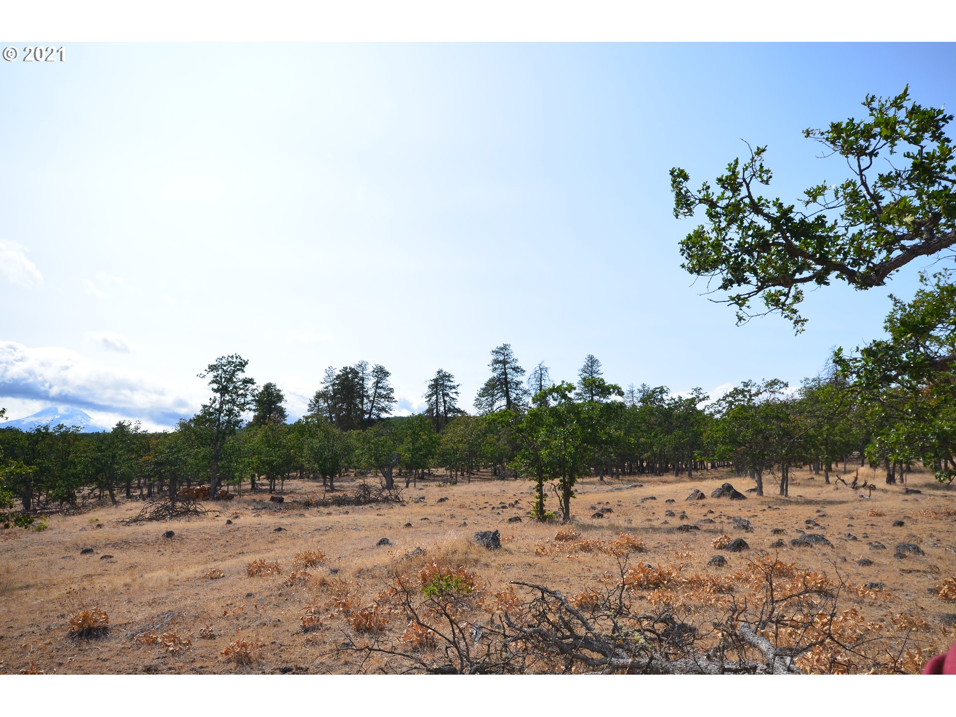 Upper Fivemile Road The Dalles, OR 97058 - Photo 16 of 21 Gallery Image 16