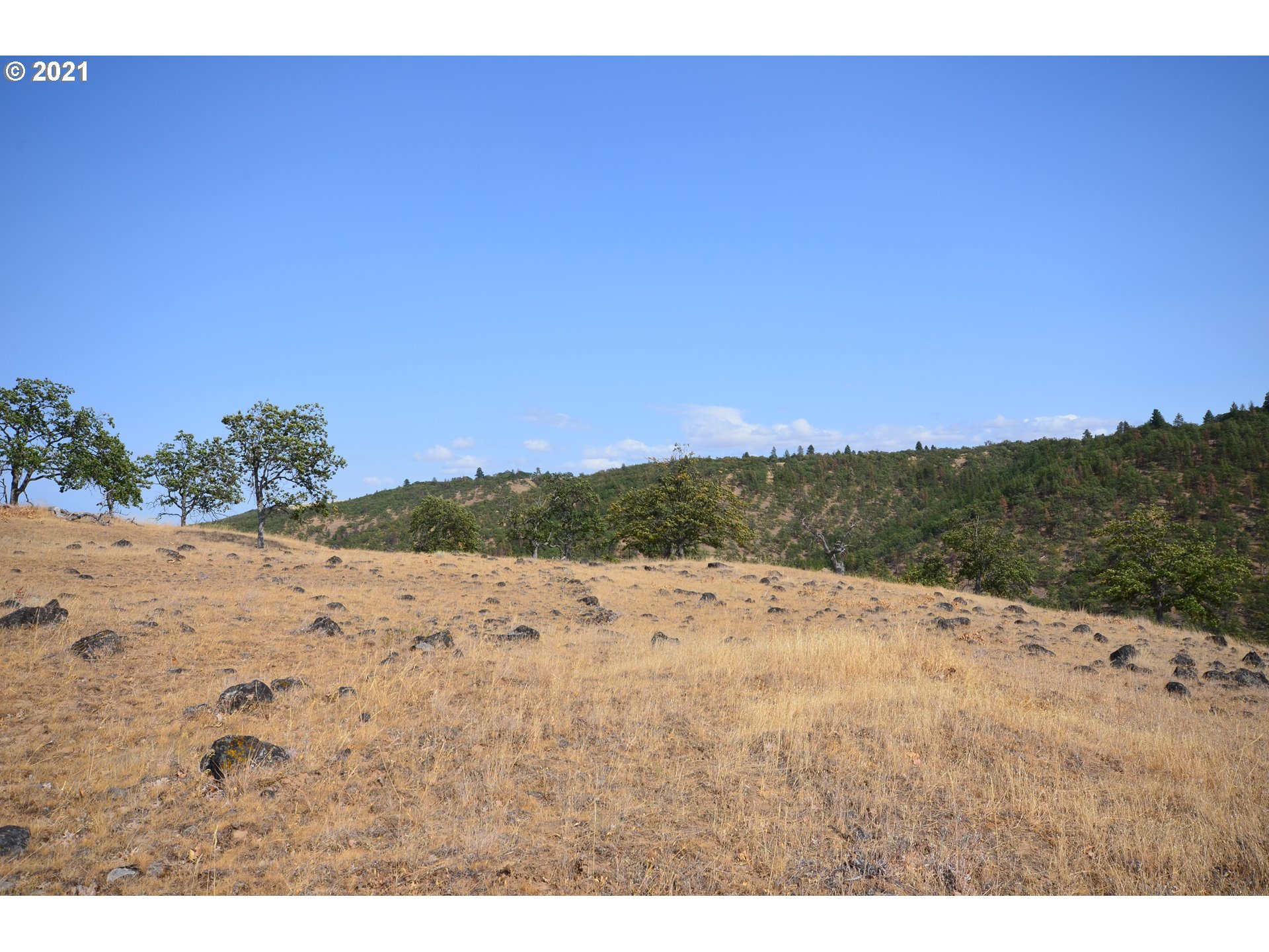 Upper Fivemile Road The Dalles, OR 97058 - Photo 6 of 21 Gallery Image 6