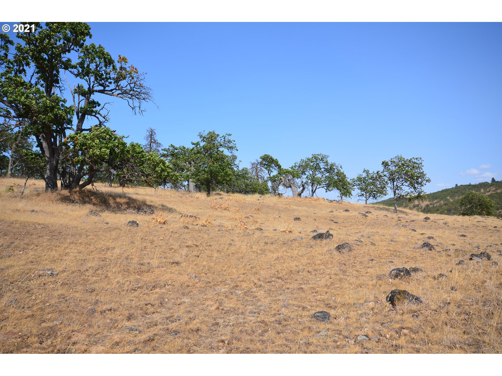 Upper Fivemile Road The Dalles, OR 97058 - Photo 7 of 21 Gallery Image 7