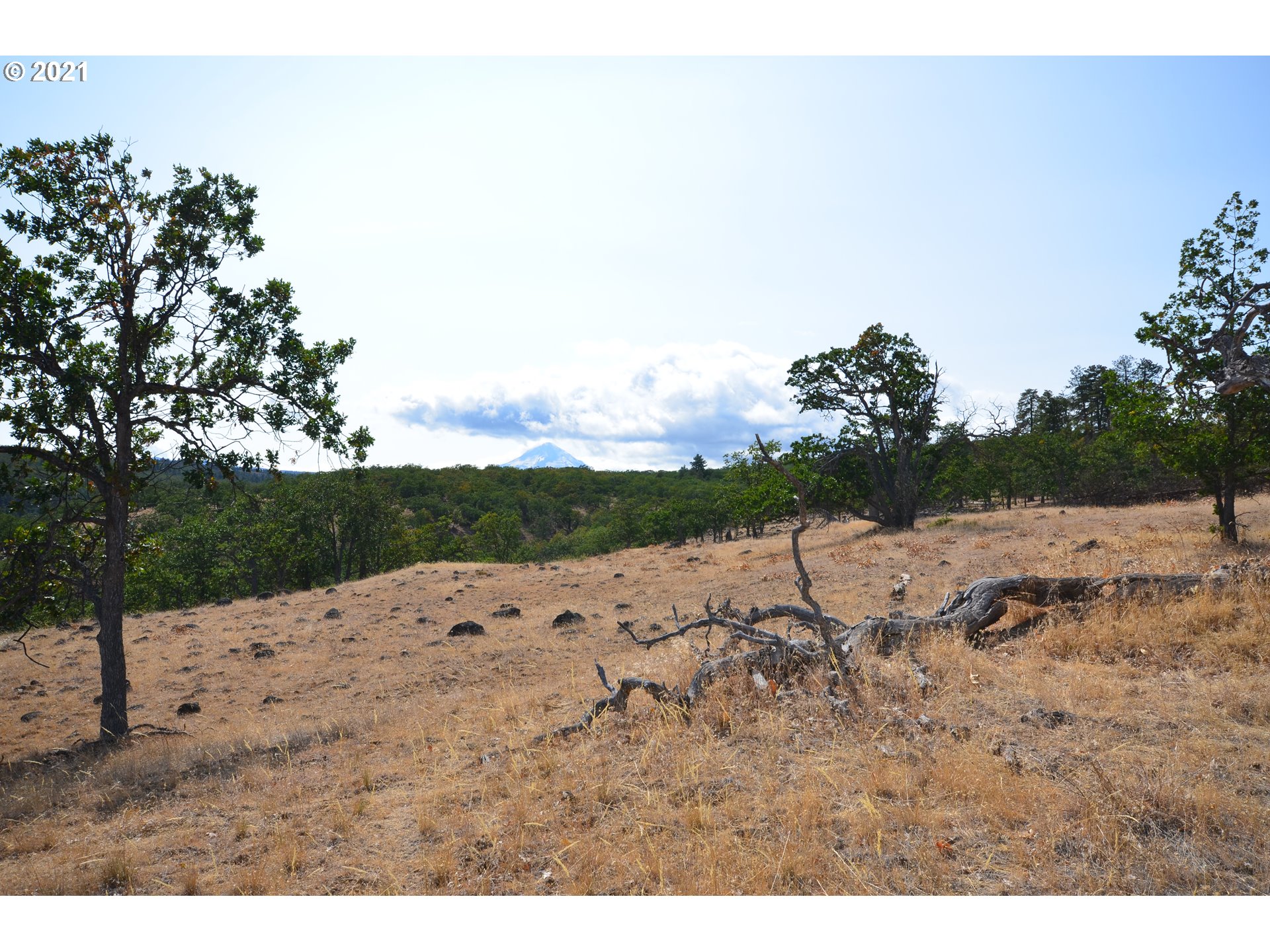 Upper Fivemile Road The Dalles, OR 97058 - Photo 10 of 21 Gallery Image 10