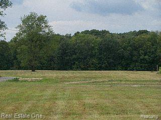 V/l Thayer Road Goodrich, MI 48438 - Photo 1 of 1 11 gorgeous acres!