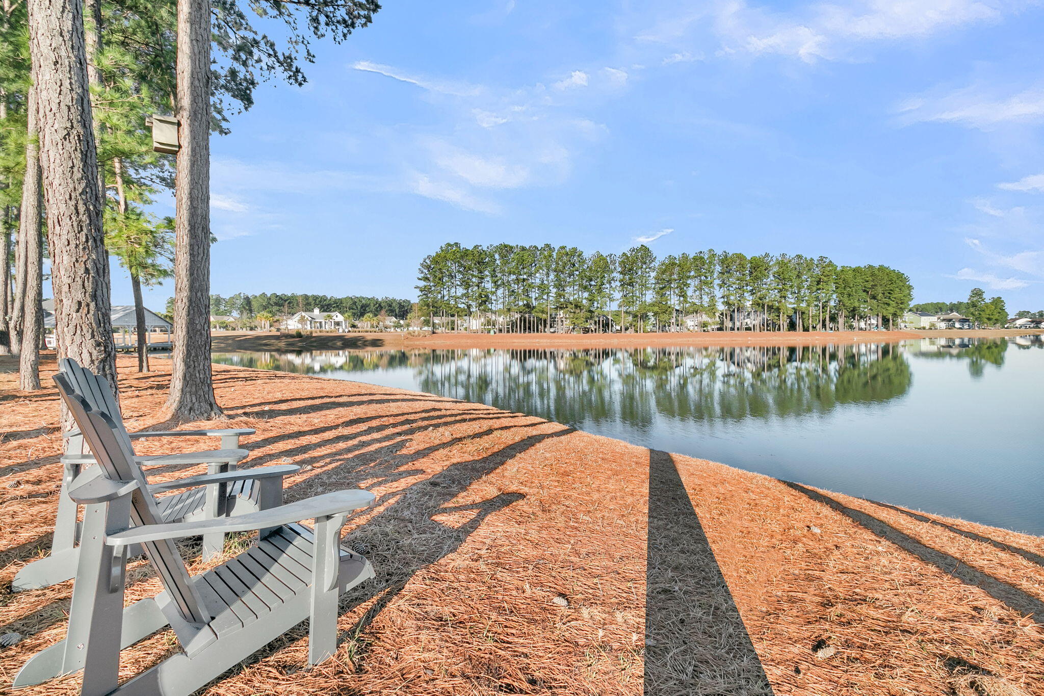 274 Calm Water Way Summerville, SC 29486 - Photo 51 of 63 CREM - 274 Calm Water Way-49