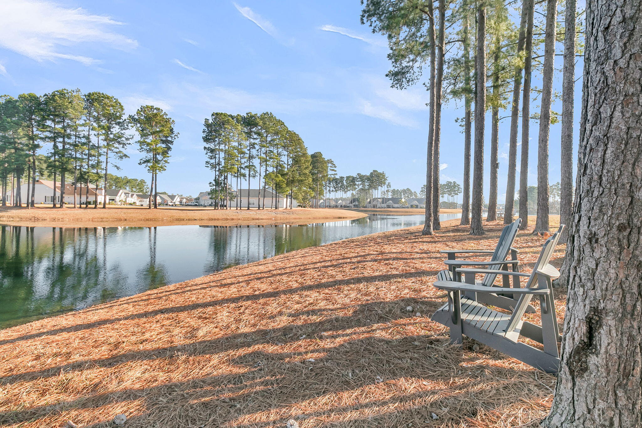 274 Calm Water Way Summerville, SC 29486 - Photo 52 of 63 CREM - 274 Calm Water Way-50
